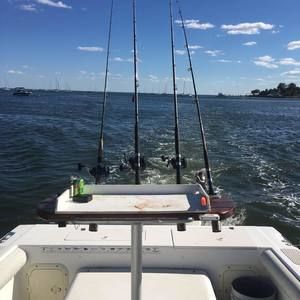 Meet your Posher, Tom